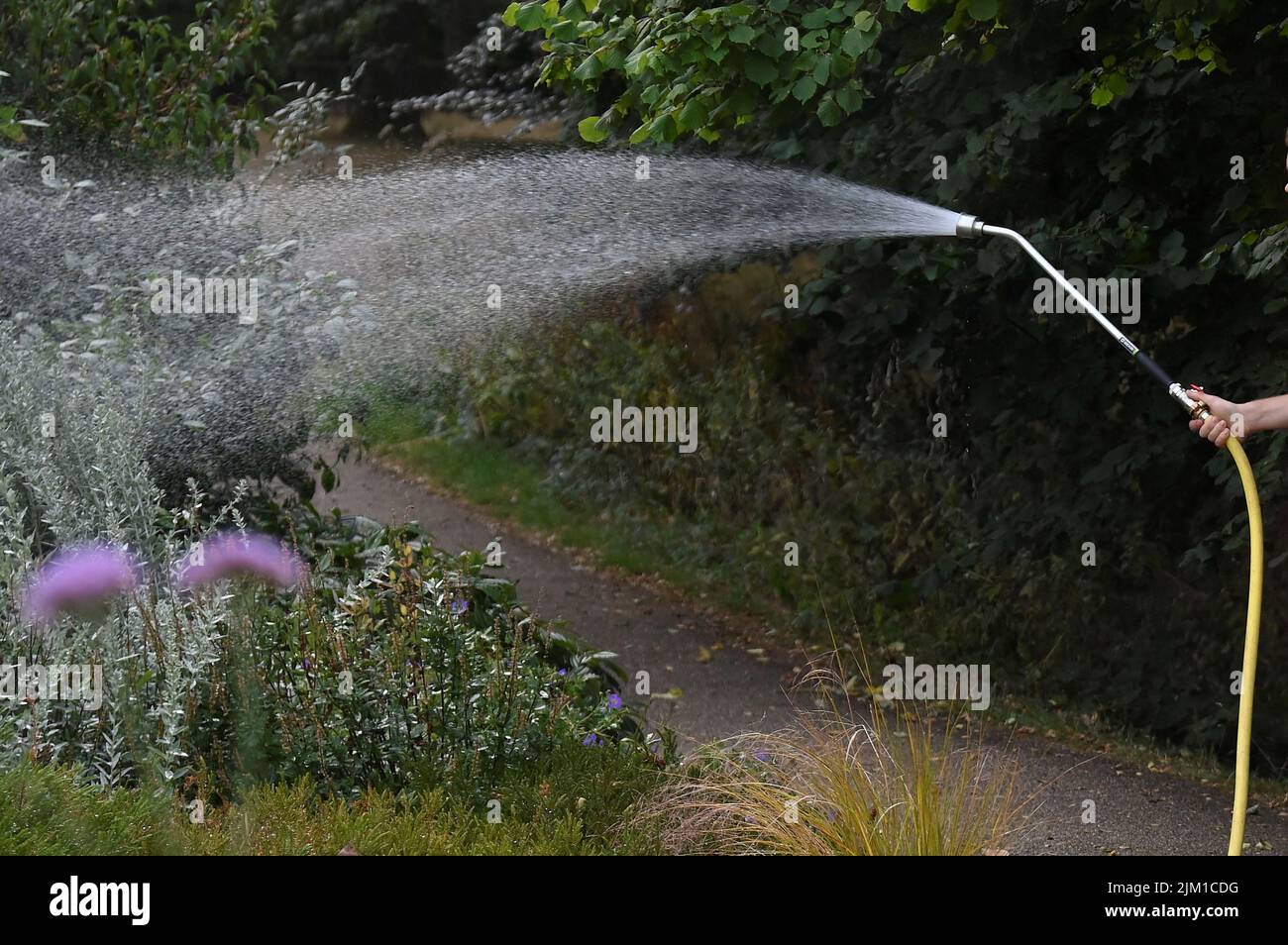 A worker waters plants in a public park, ahead of regional restrictions for private and residential water usage being implemented, in London, Britain, August 4, 2022. REUTERS/Toby Melville Stock Photo