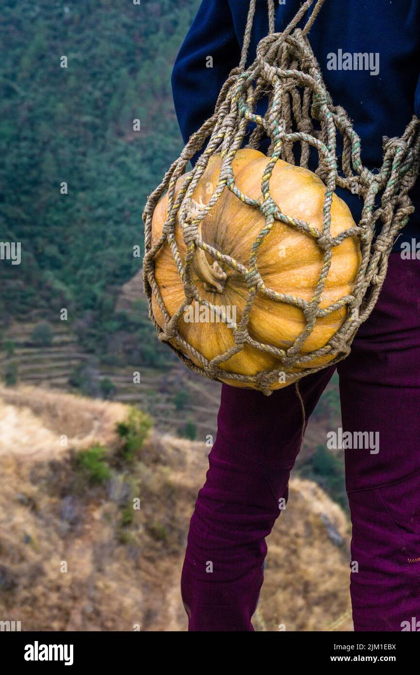 A closeup shot of a man carrying a large big pumpkin in a hand made