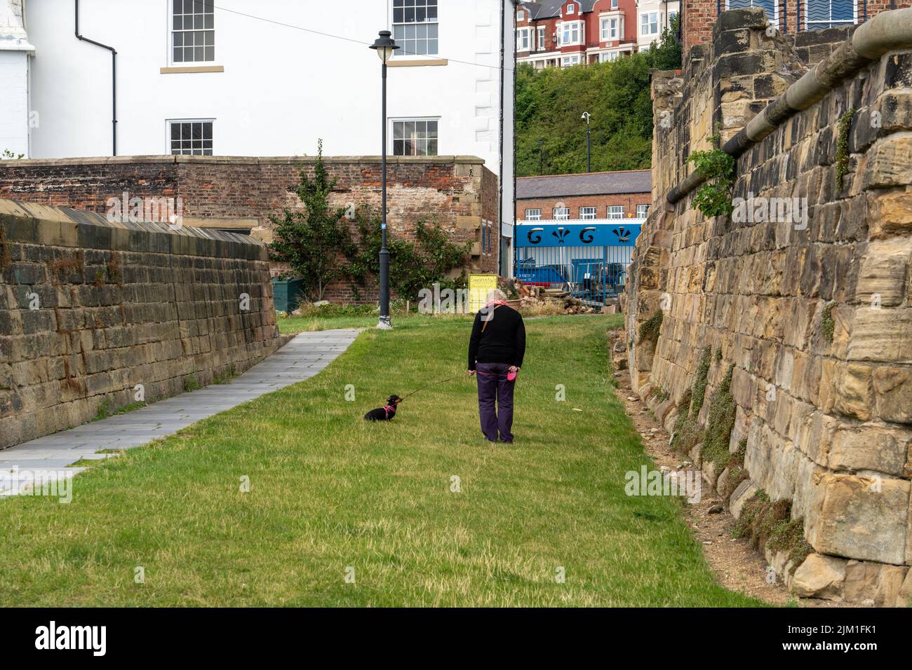 A woman walks her dog between ancient walls at the 17th Century Clifford's Fort at the Fish Quay in North Shields, North Tyneside, UK. Stock Photo