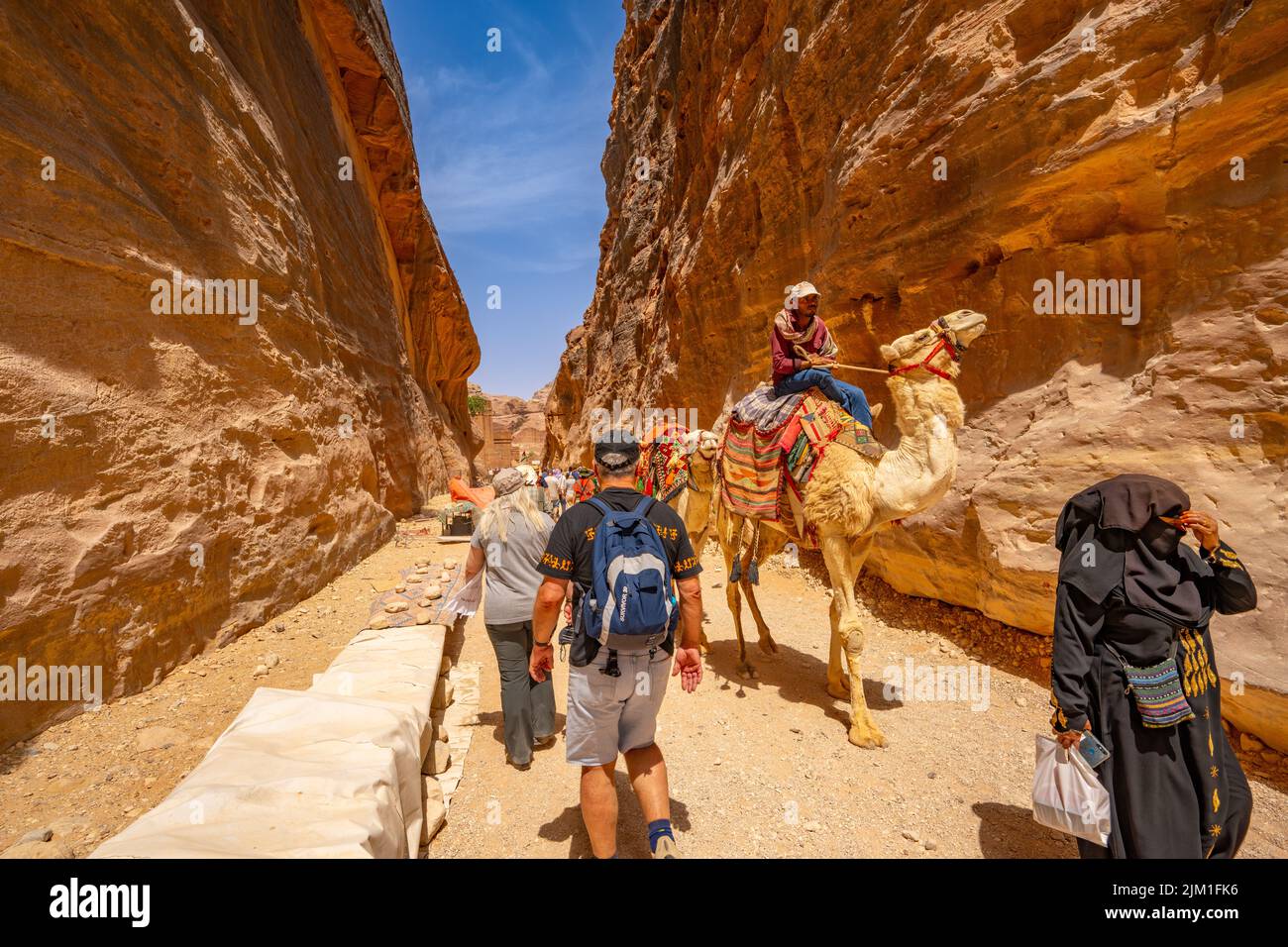 Camels and tourists in the canyon of Petra Jordan. Stock Photo
