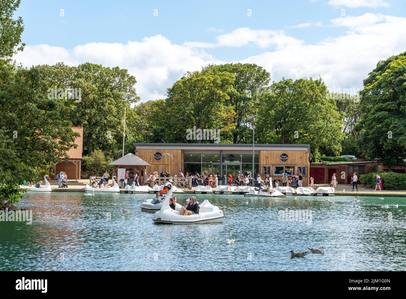 A view of the boating lake at South Marine Park, South Shields, South Tyneside, UK, with swan pedalos and Tony Minchella's cafe. Stock Photo