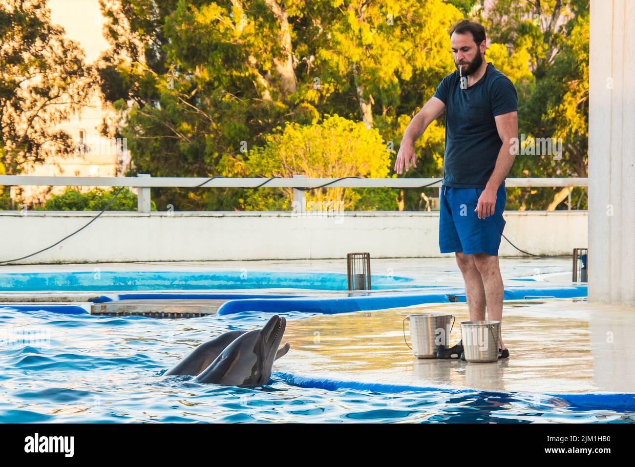 Batumi, Georgia - 28th july, 2022: male staff feed to dolphins in pool in Batumi sea resort Stock Photo