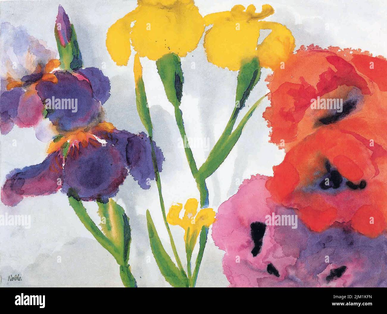 Irises and poppies. Museum: Nolde Stiftung Seebüll. Author: EMIL NOLDE. Stock Photo