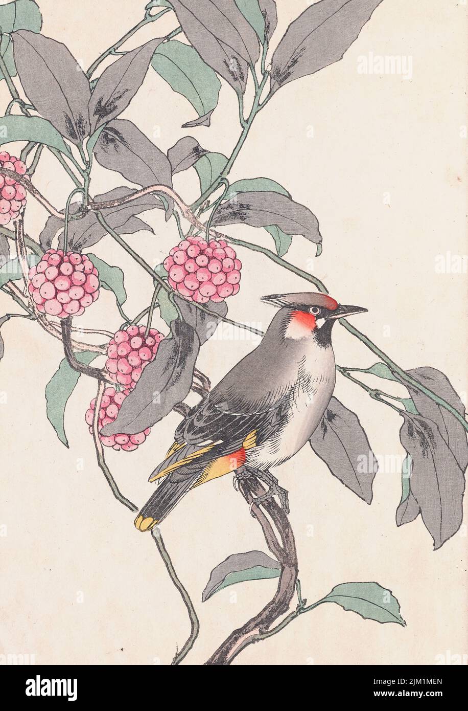 The Four Seasons Bird and Flower Albums (Keinen Kacho Gafu). Museum: PRIVATE COLLECTION. Author: IMAO KEINEN. Stock Photo
