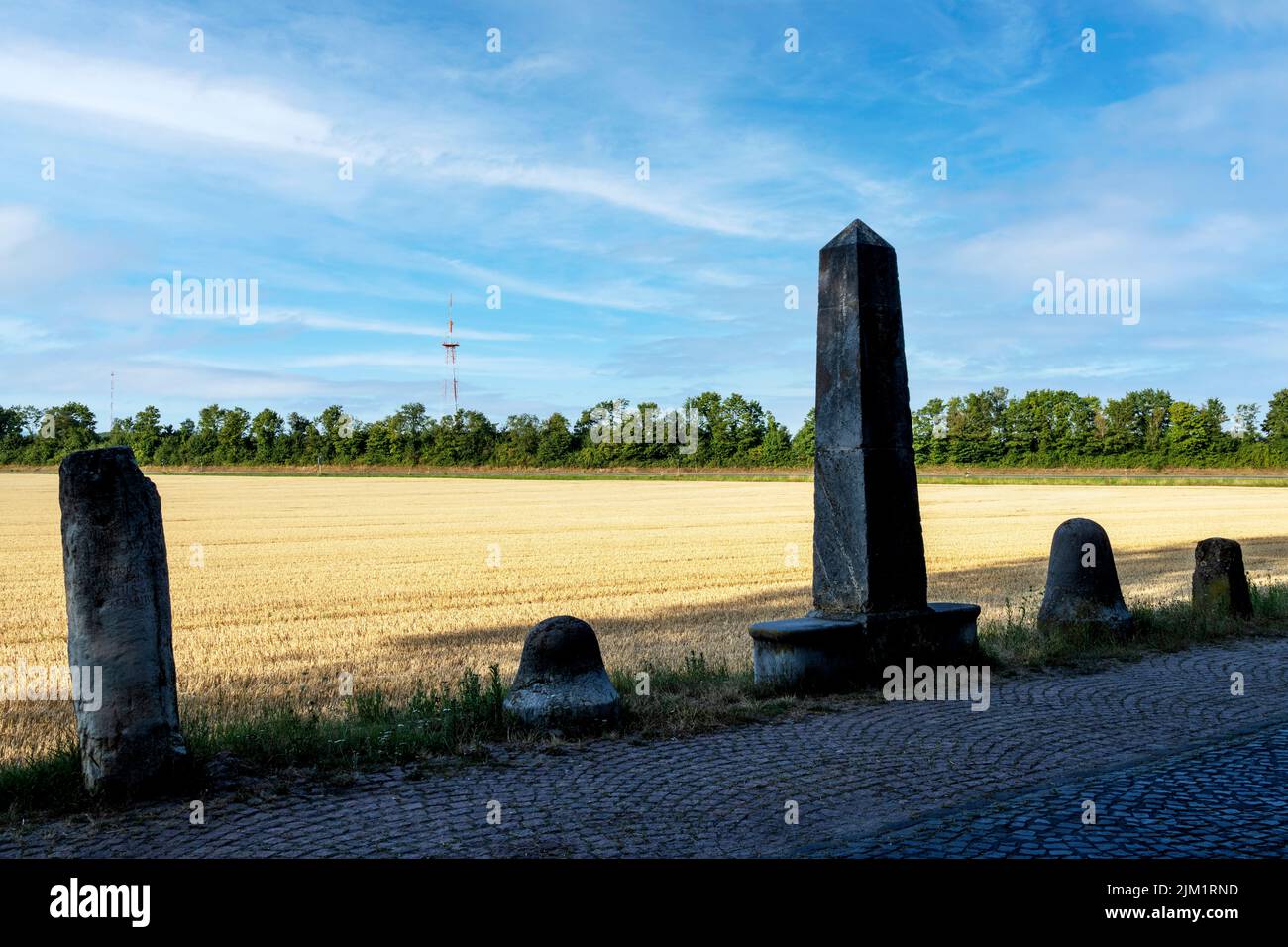 Deutschland, NRW, Kreis Düren, Titz, römische Meilensteine Stock Photo