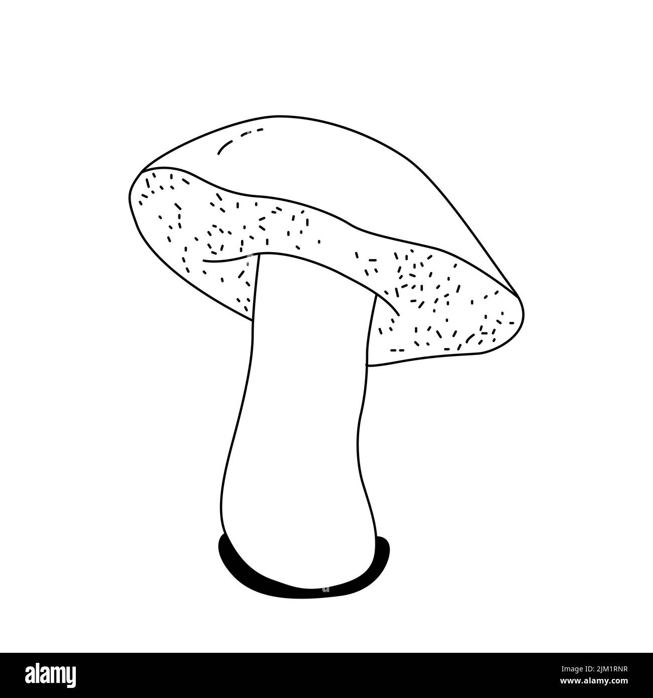 Vector line icon for mushroom. white button isolated. Vintage. Vector illustration. Stock Vector