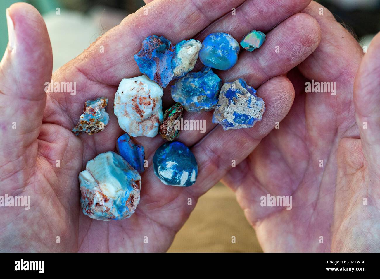 Grahame McMahon, retired Anglican clergyman now opal miner displays a handful of opals from his mine at Lightning Ridge Stock Photo