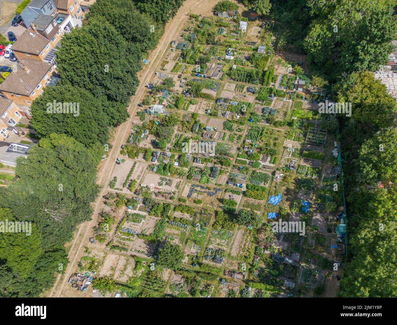 aerial view of allotments in burgess hill west sussex Stock Photo Alamy