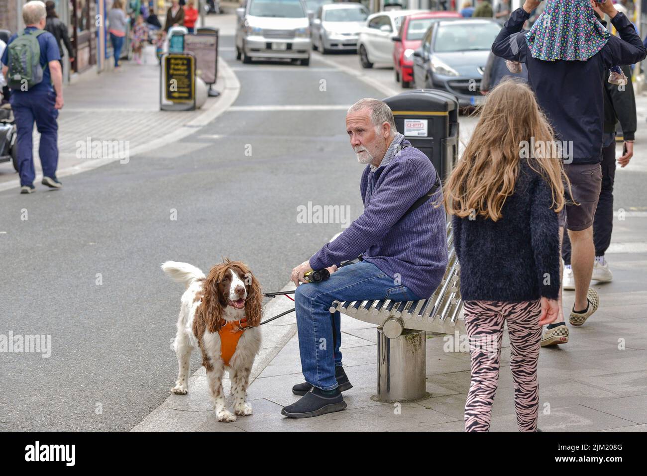 People walking past a man sitting with his dog on a bench in Newquay Town centre in Cornwall in the UK. Stock Photo