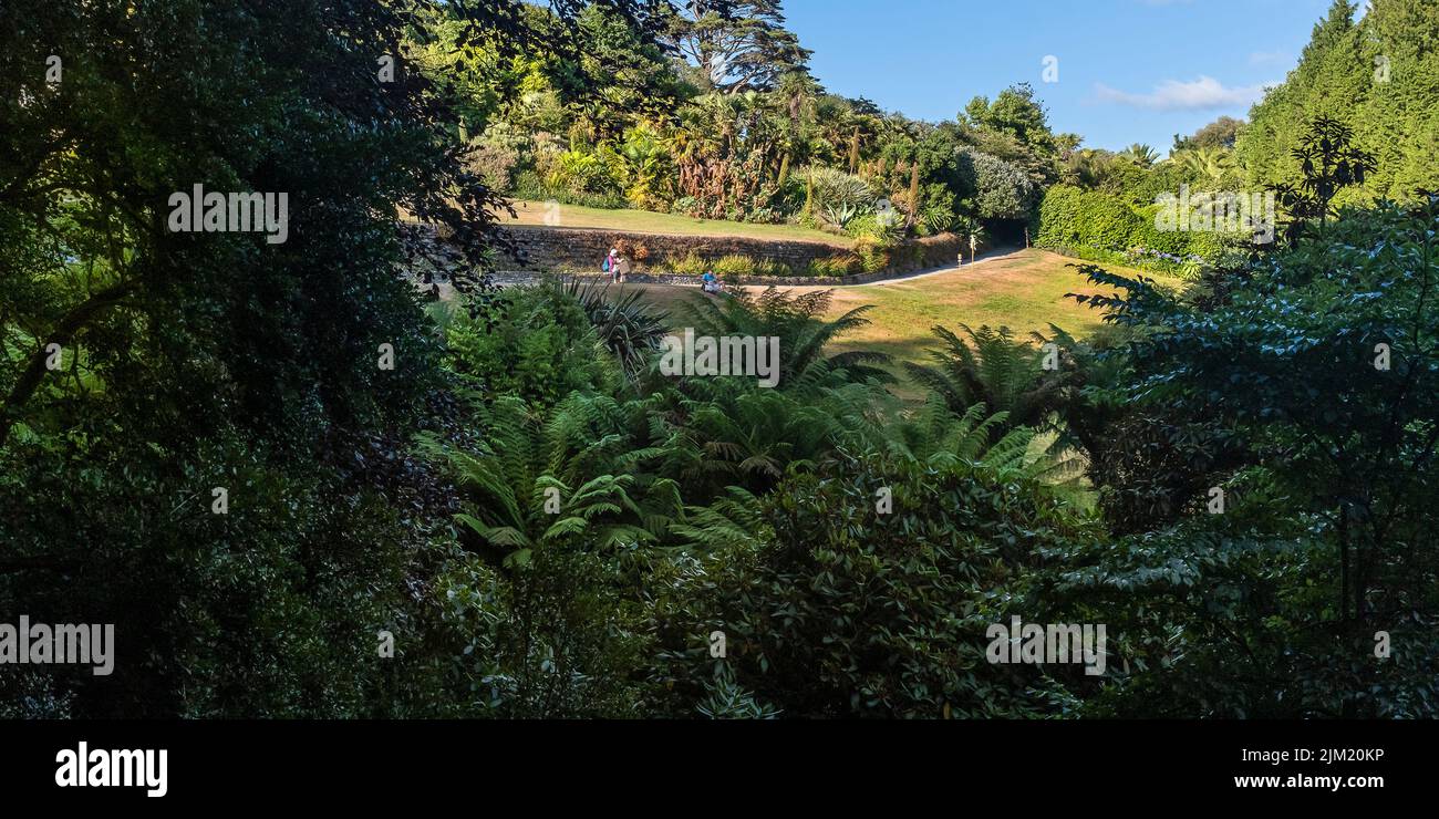A panoramic image of Trebah Garden in Cornwall in the UK. Stock Photo