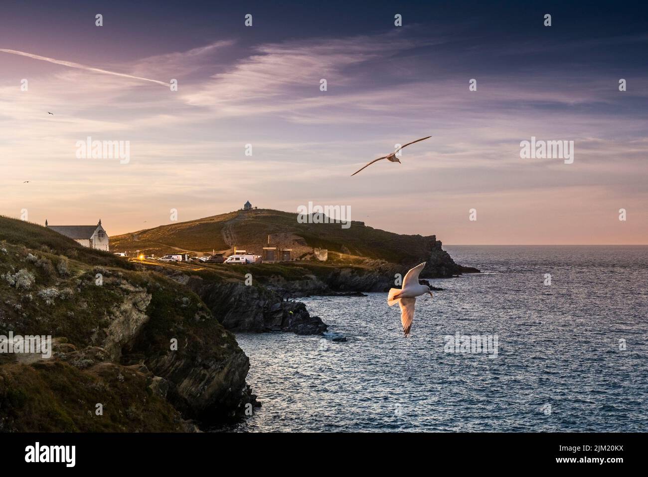Gulls flying over Towan Head on the coast of Newquay in Cornwall in England in the UK. Stock Photo