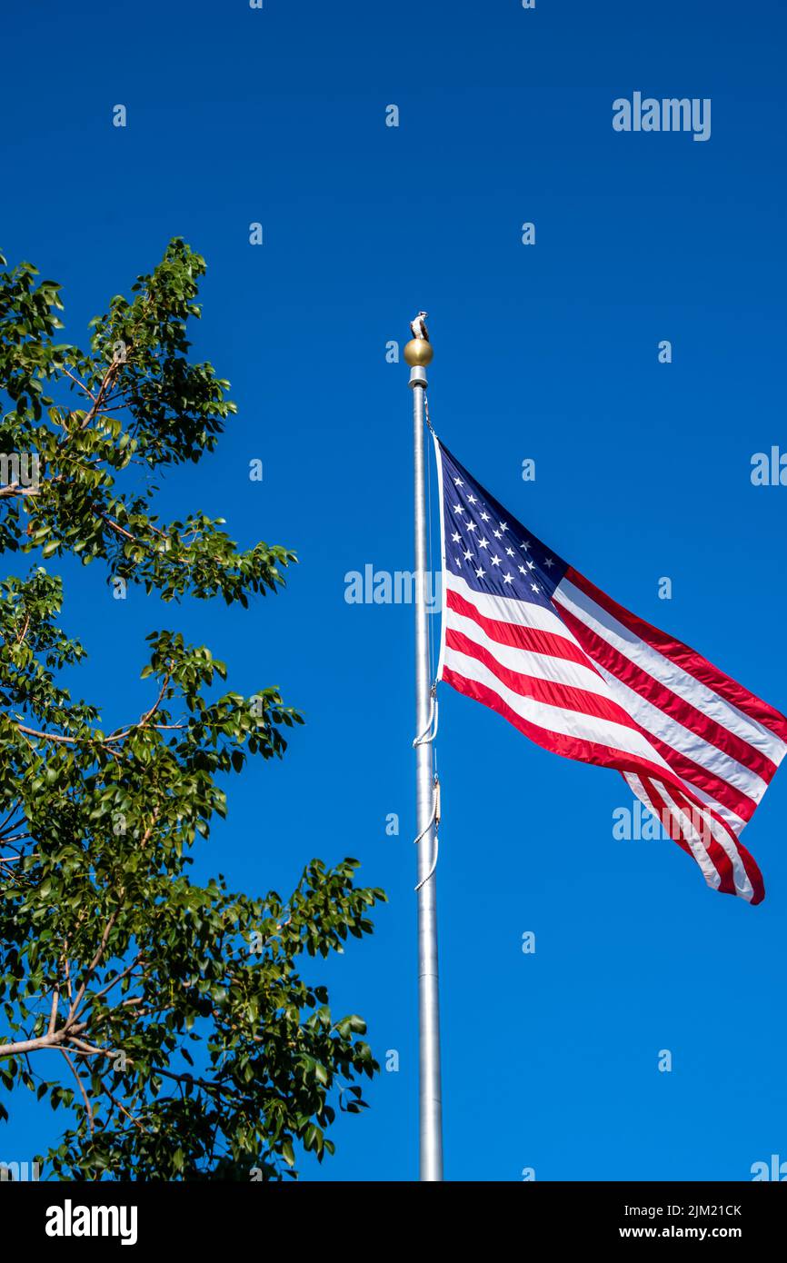 American flag against a bright blue sky, waving in a light breeze. An osprey bird of prey sitting on top of the flag pole, overlooking the park below Stock Photo