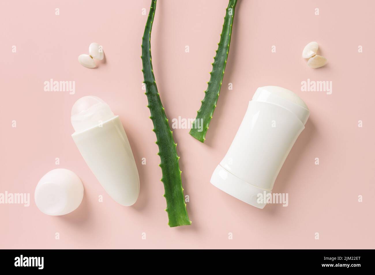 Two fresh green aloe leaves between roll on deodorant and solid antiperspirant on a pastel coral background. Concept of organic herbal  cosmetics. Stock Photo