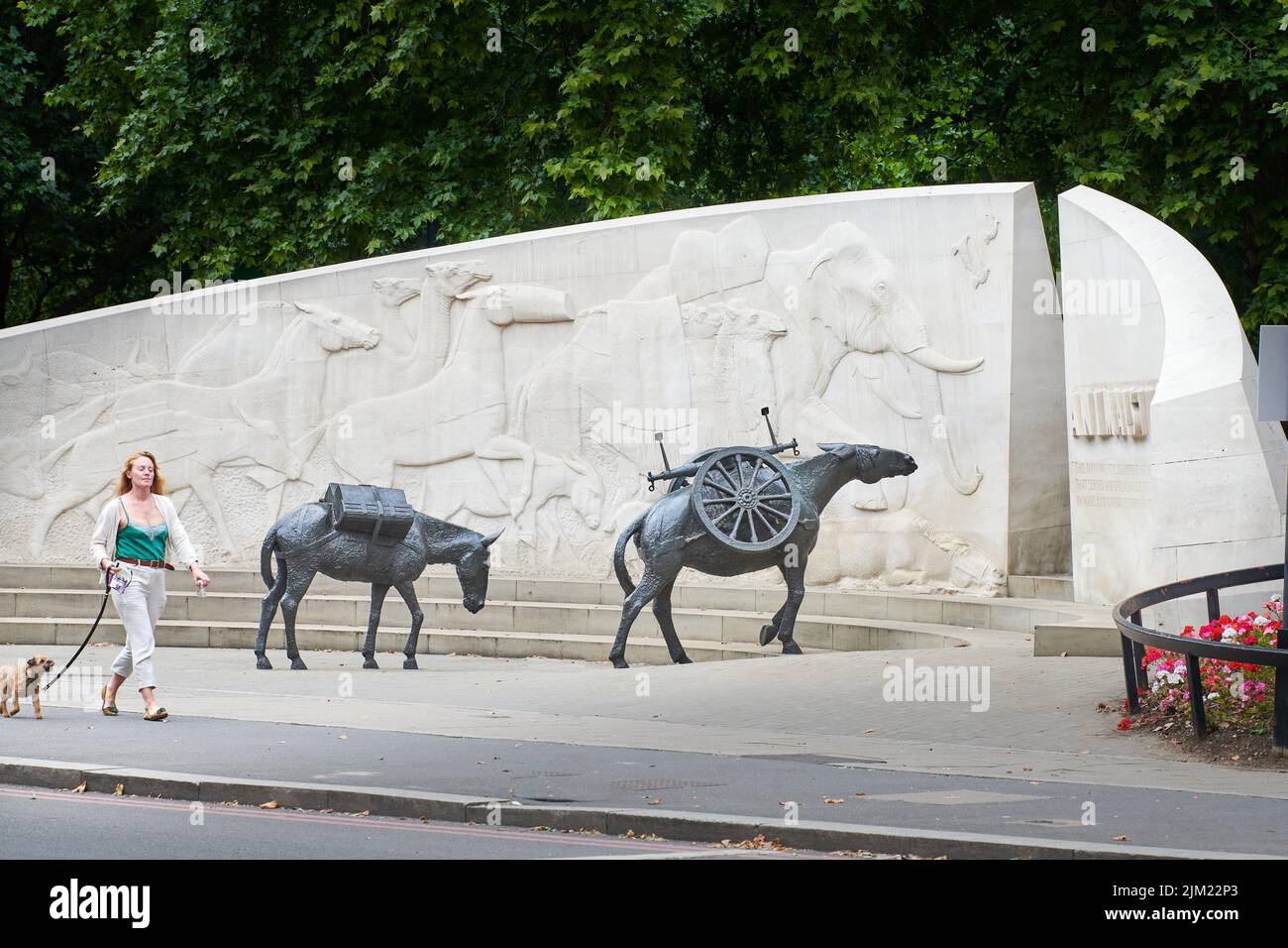 A woman with her dog walks past the Animals in War memorial at Park Lane, Mayfair, London, England. Stock Photo