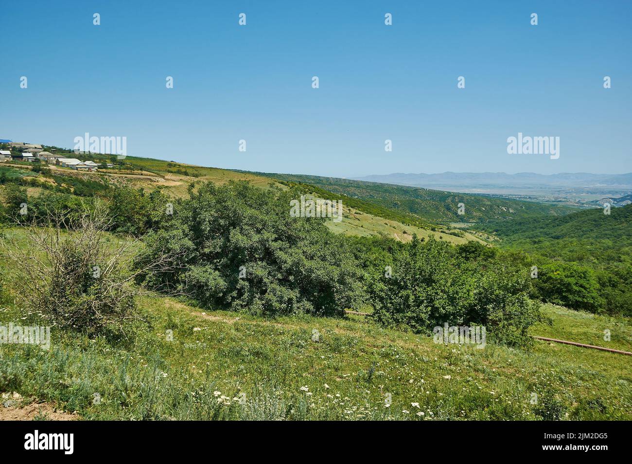 Scenic view of green meadows big mountain formation in the background. Dagestan, Russia Stock Photo