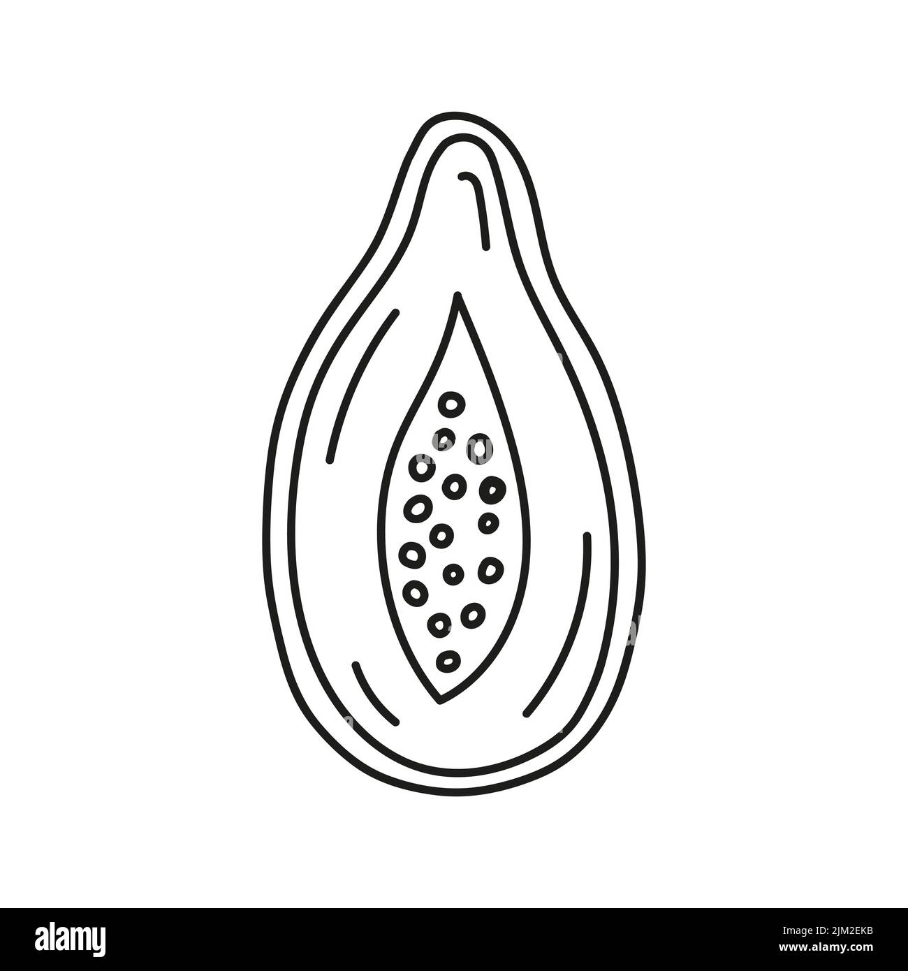 Outline vector illustration of a papaya cut in half Stock Vector Image & Art Alamy