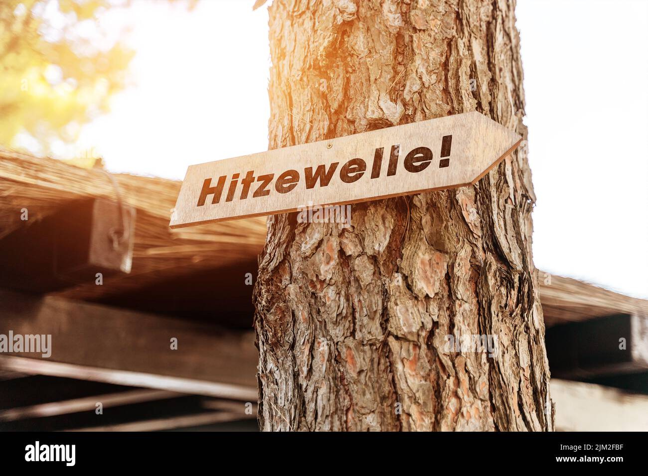 Symbolic Image Heat Wave, Sign On A Tree With The Inscription Heat Wave, Heat And High Temperature In Summer PHOTOMONTAGE Stock Photo