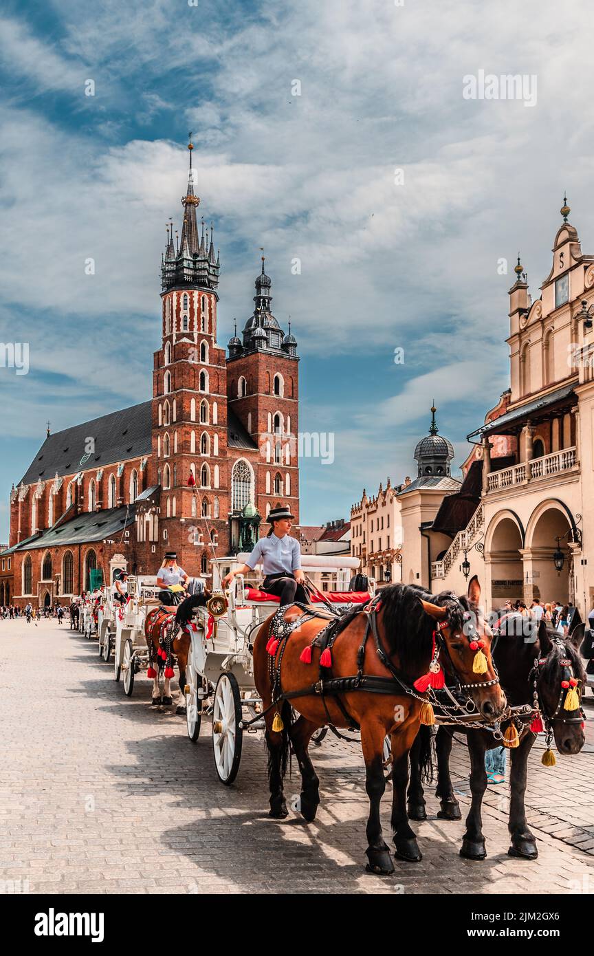 Krakow, Maloplskie voivodship, Poland; August 1st, 2022: Traditional stylish hackney carriages on the main square in Krakow with Mariacki Church and S Stock Photo