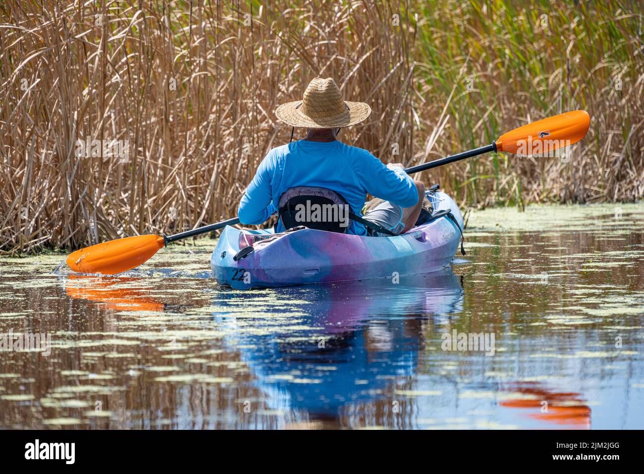 Kayaker paddling through the freshwater marsh of the Guana River in Ponte Vedra Beach, Florida. (USA) Stock Photo
