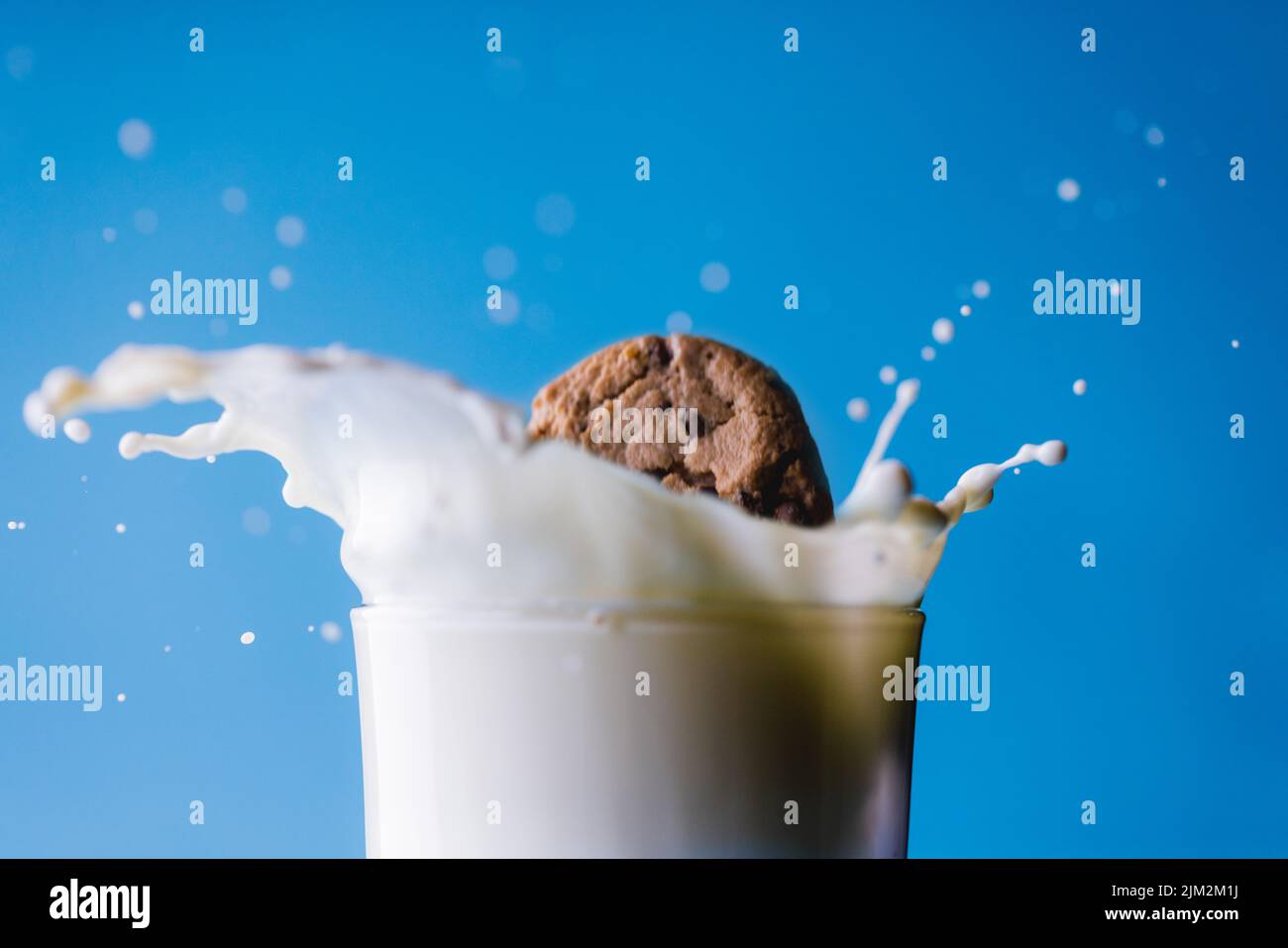 Close-up of spilled milk with cookie in glass against blue background, copy space Stock Photo