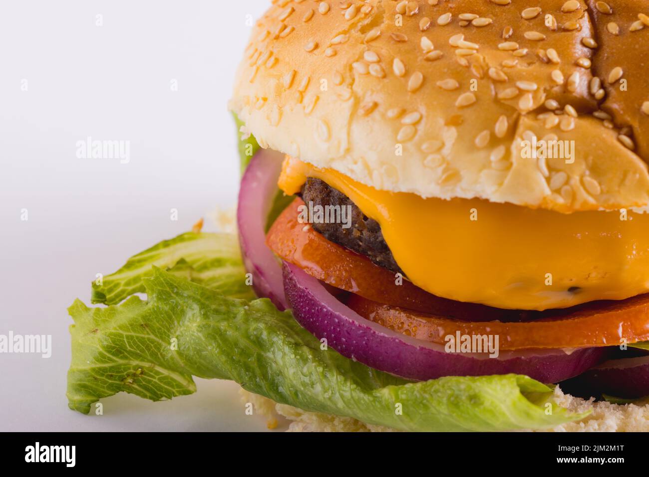 Close-up of fresh burger over white background with copy space. unaltered, food, studio shot and unhealthy food concept, Stock Photo