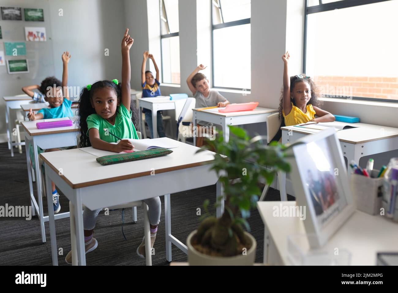 Multiracial elementary school students with hands raised sitting at desk in classroom. unaltered, education, childhood, learning and school concept. Stock Photo