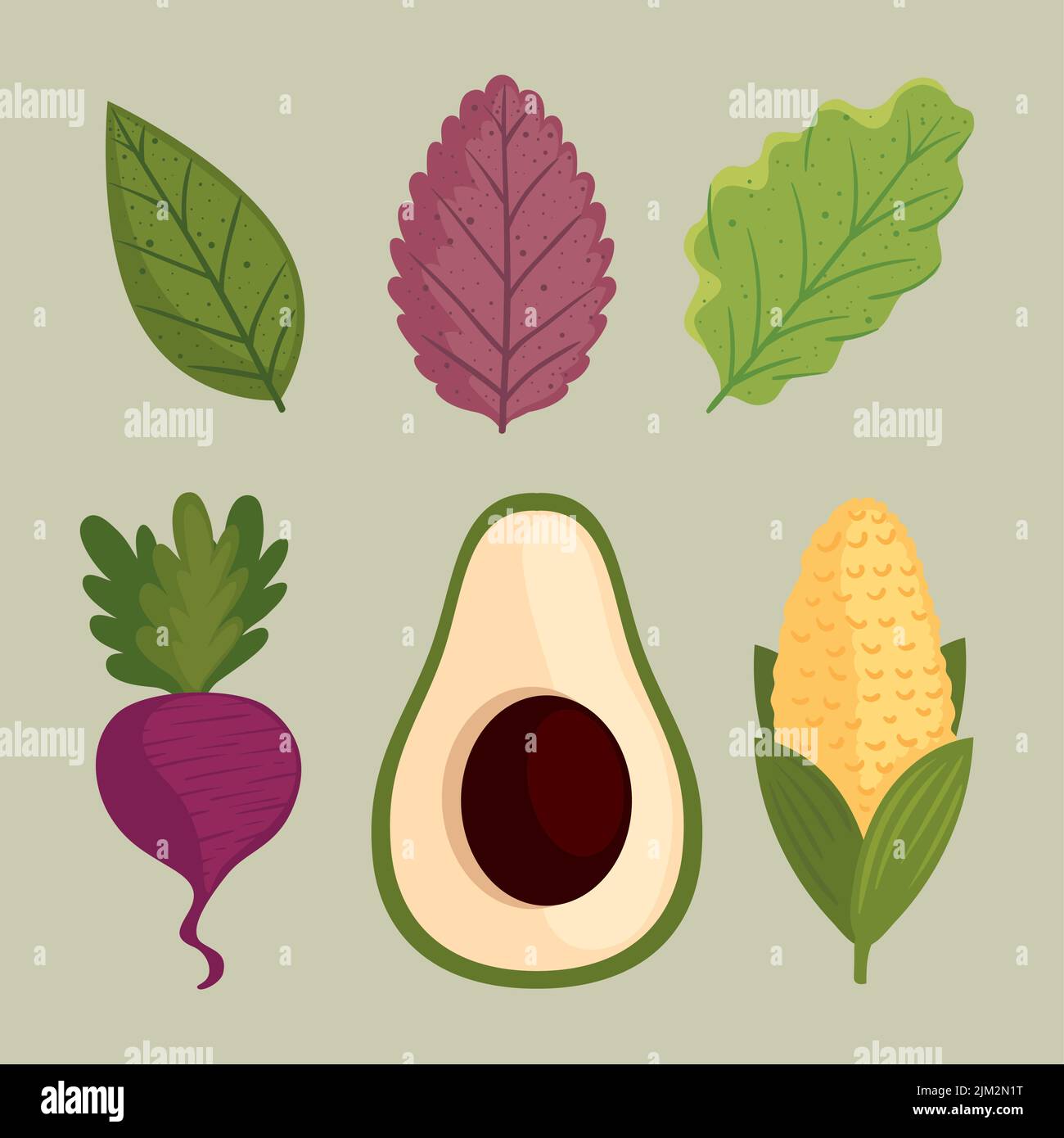 six healthy food icons Stock Vector Image & Art - Alamy