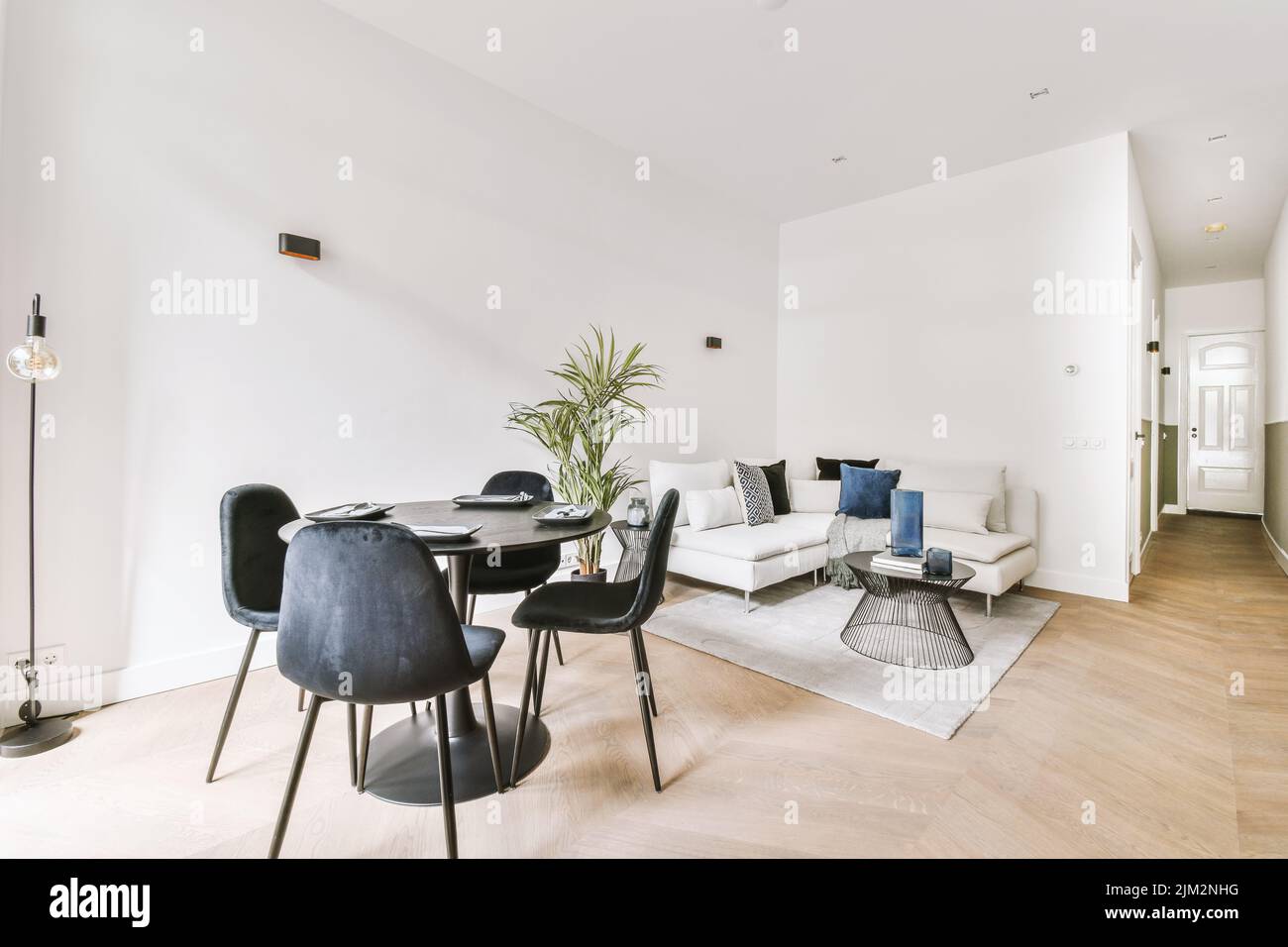 View of Contemporary minimalist style interior design of light studio apartment ...