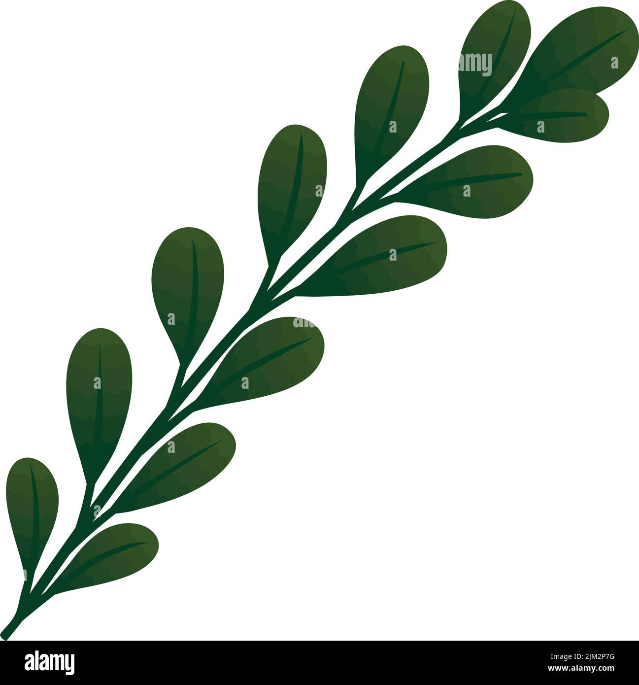 branch with leafs foliage Stock Vector Image & Art - Alamy