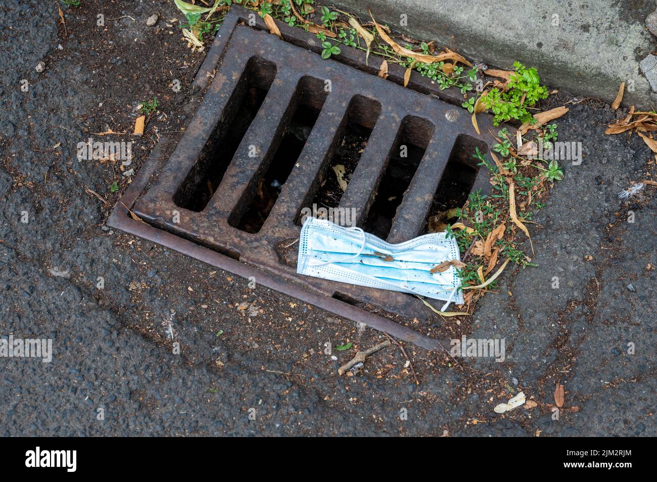 Discarded face mask on a drain in the street shortly after news of the  Birds and Debris project was released. Stock Photo