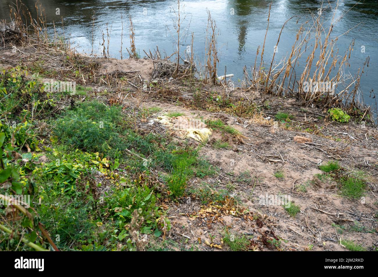 Plastic waste is partly buried in the sandy bank of the River Severn in Shrewsbury. Stock Photo