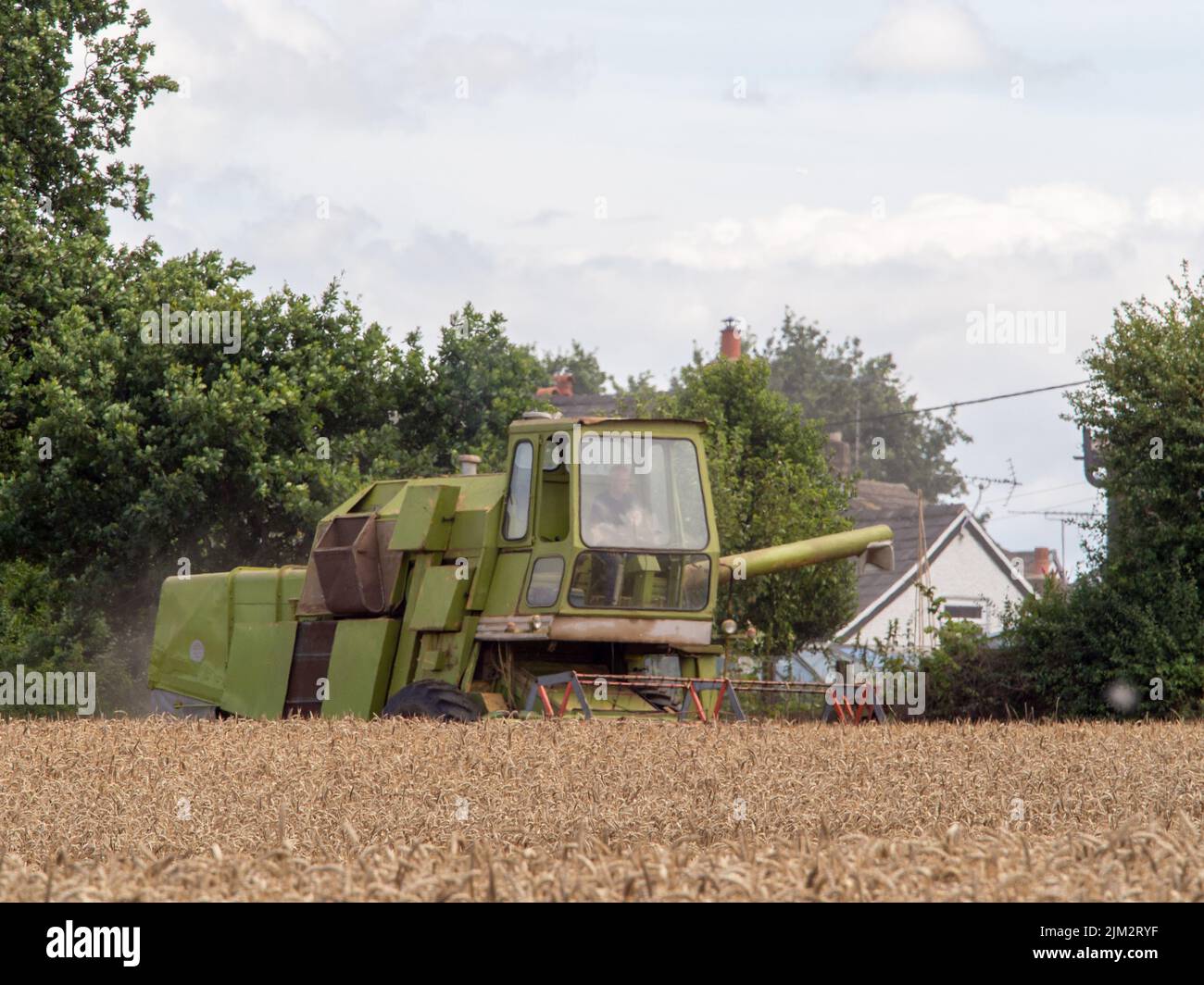 Pickmere Cheshire, August 4th 2022. Farmer taking advantage of the very dry July to harvest his Wheat crop early. Pickmere, Cheshire, UK Stock Photo