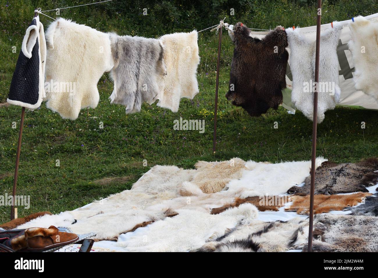 Astrakhan fur hi-res stock photography and images - Alamy Astrakhan fur hi-res stock photography and images - Alamy