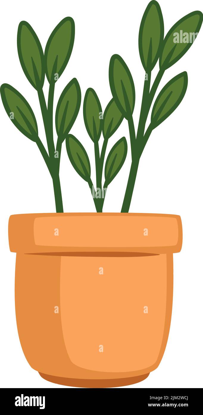 houseplant in classic pot Stock Vector Image & Art - Alamy