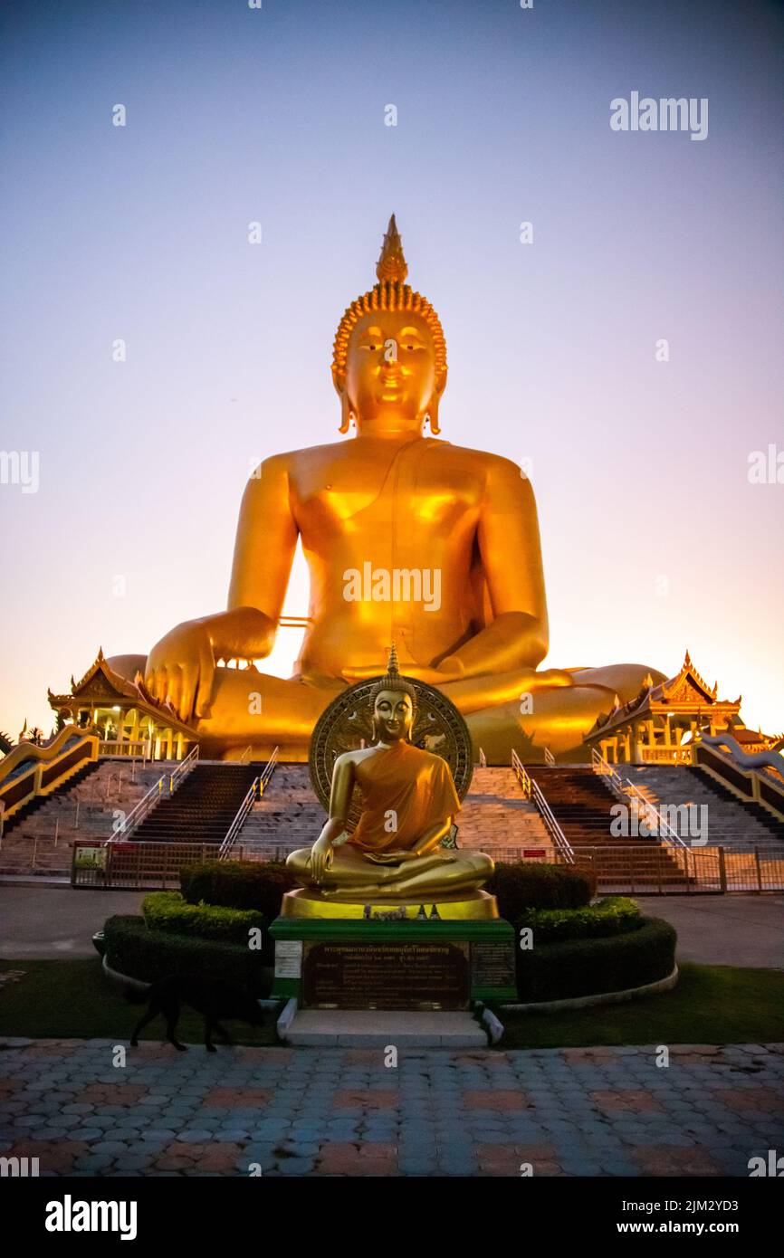 Big Buddha during sunset at Wat Muang in Ang Thong, Thailand Stock Photo