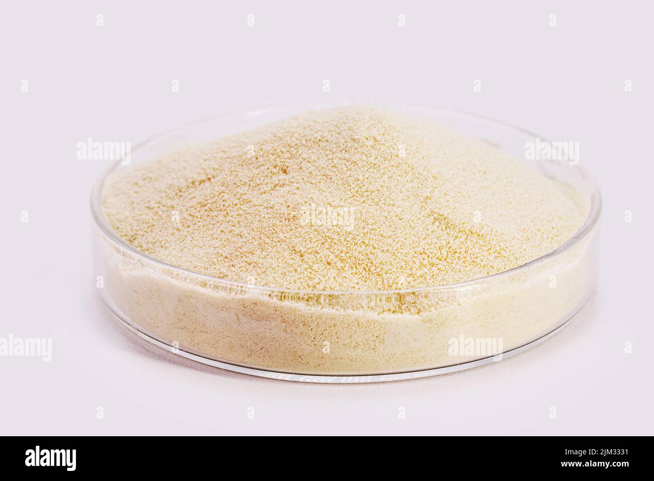 creatine, sports supplement, creatine, hmb, bcaa, amino acid or vitamin powder. Sports nutrition concept, l-carnitine, white isolated background, copy Stock Photo