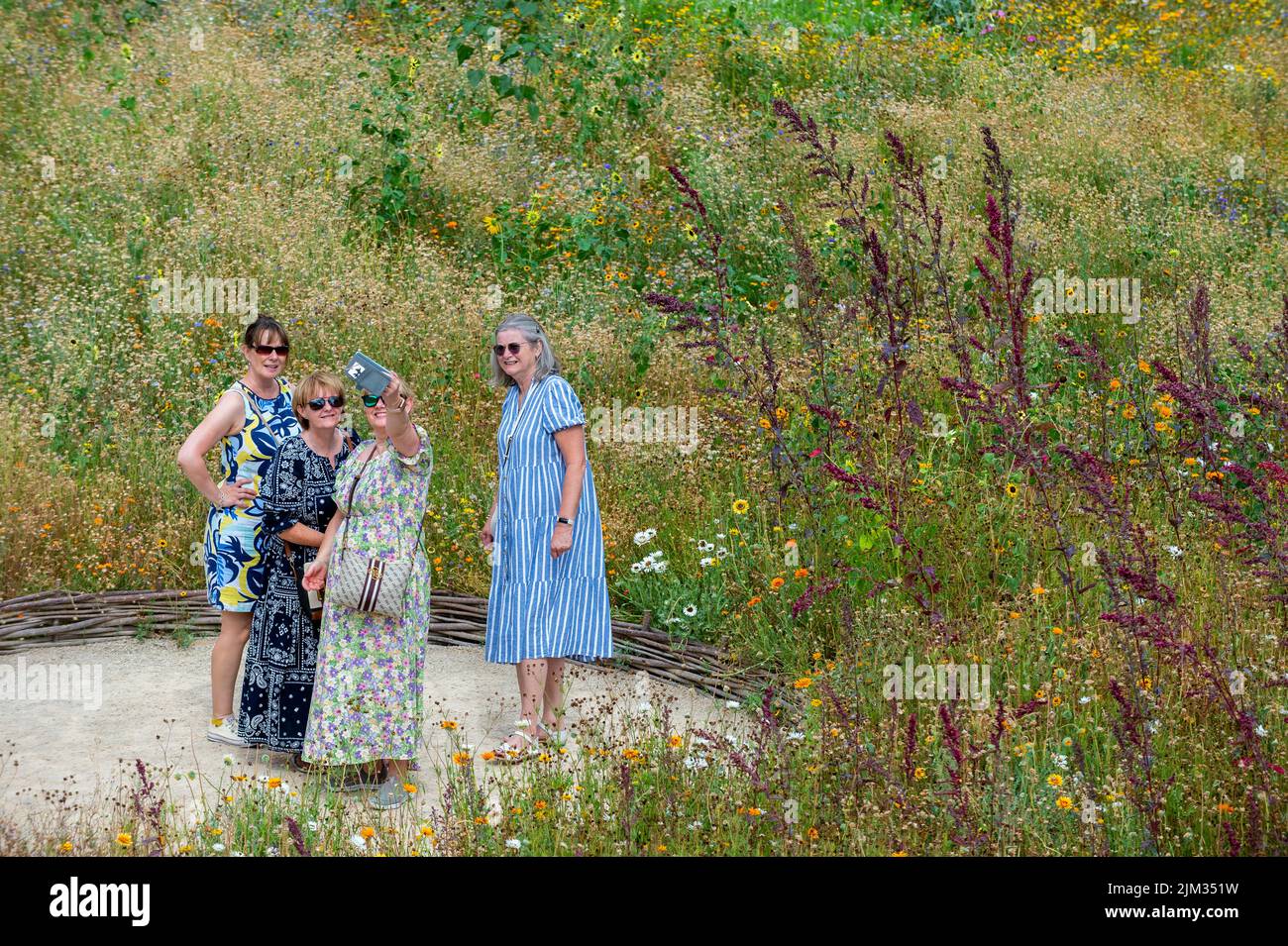 London, UK.  4 August 2022.  UK Weather - Visitors take a selfie at Superbloom, a display of wildflowers in the moat of the Tower of London, grown from over 20 million seeds from 29 flower species which were sown to celebrate the Queen’s Platinum Jubilee. The flowers were chosen to attract a variety of pollinators to create a new biodiverse habitat.  As the current unusually dry conditions continue, with drought warnings in certain places, a modest sprinkler system is just managing to keep the flowers in bloom.  Credit: Stephen Chung / Alamy Live News Stock Photo