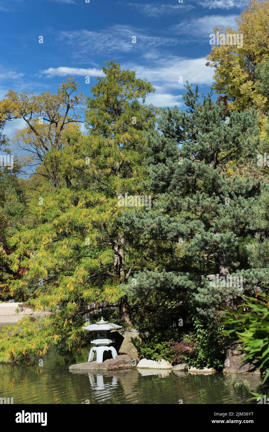 A Blue Weeping Juniper,  Pine tree and Japanese stone lantern edging a lake in the fall at Anderson Japanese Gardens in Rockford, Illinois, USA Stock Photo