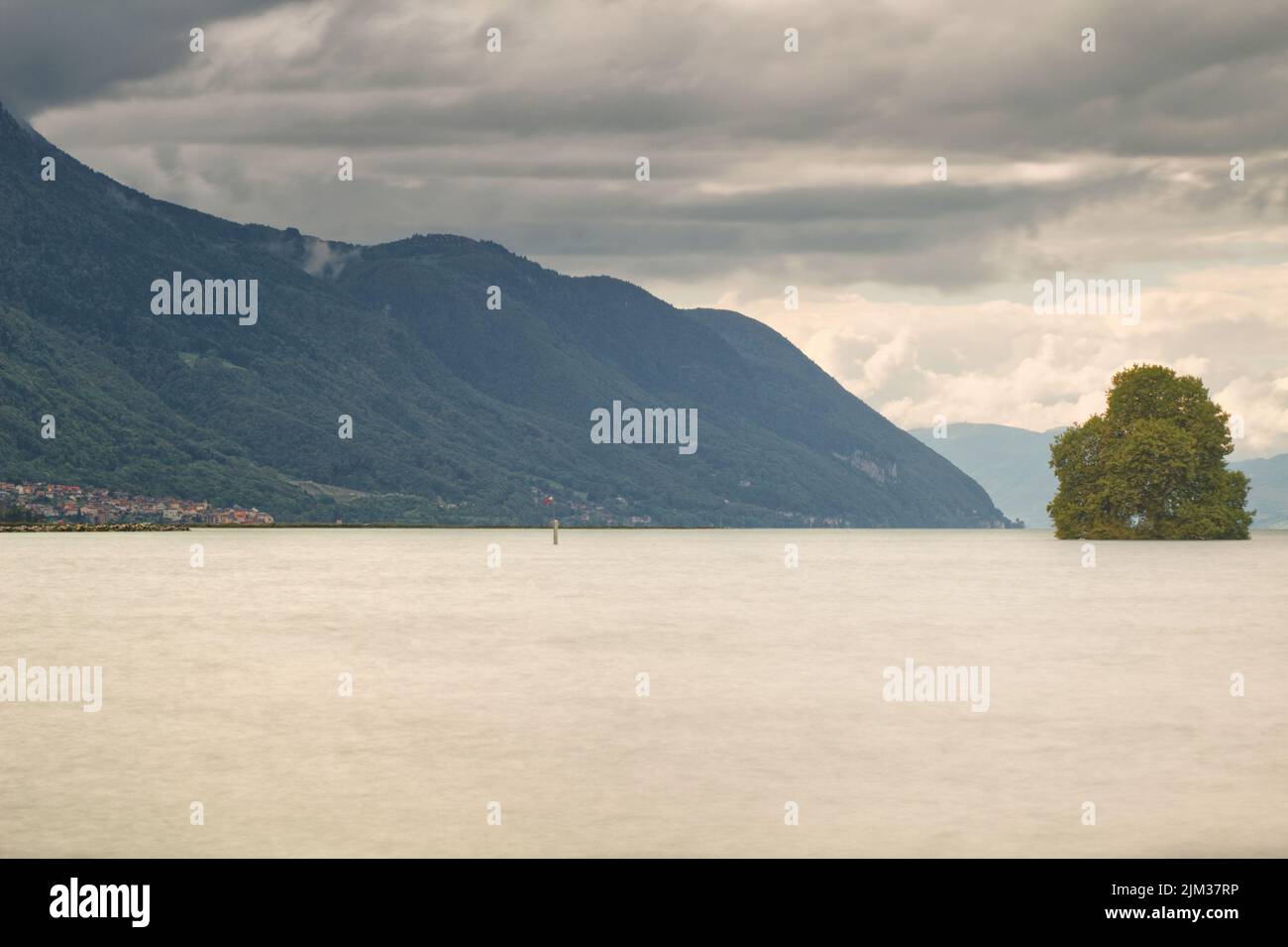Île de Peilz (Peilz Island) with its monumental plane tree- Villeneuve, Lake Geneva, Switzerland Stock Photo