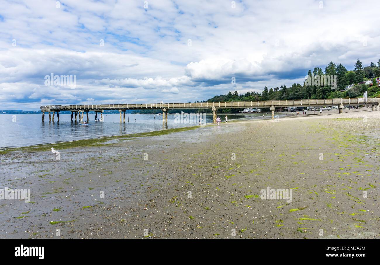 A veiw of the pier at Dash Point, Washington with the tide out. Stock Photo