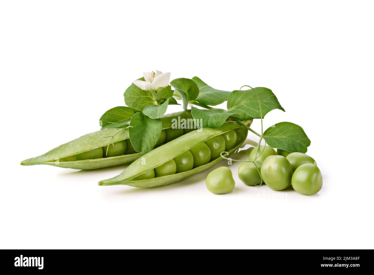 Fresh pea pods with stem and leaves on white background Stock Photo