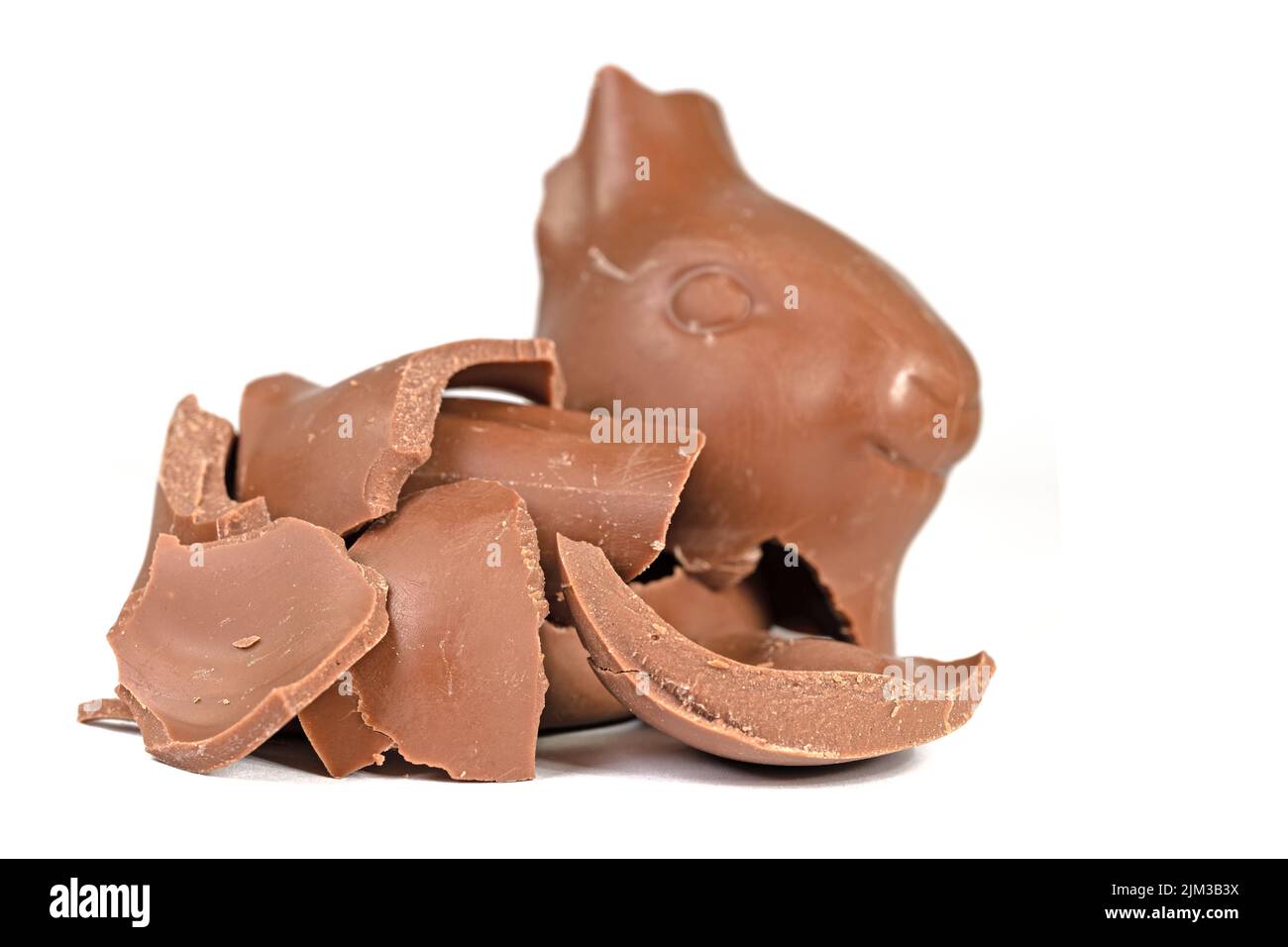 Broken chocolate bunny in front of white background Stock Photo