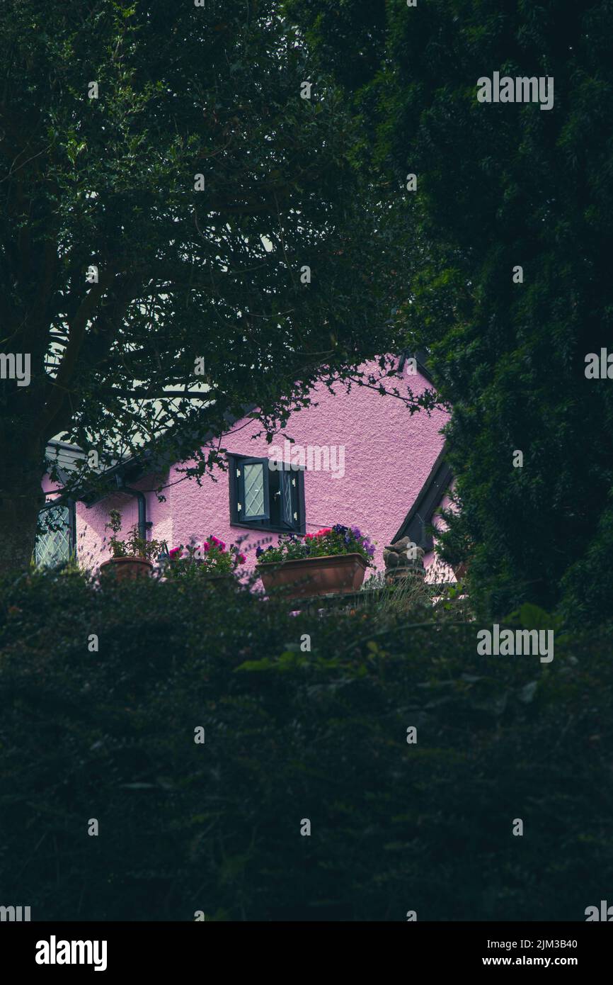 Pink house seen through trees Stock Photo