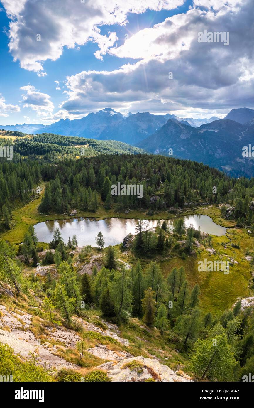 Aerial view of Mufule Lake and Mount Disgrazia surrounded by larches in the summer. Valmalenco, Valtellina, Sondrio, Lombardy, Italy, Europe. Stock Photo
