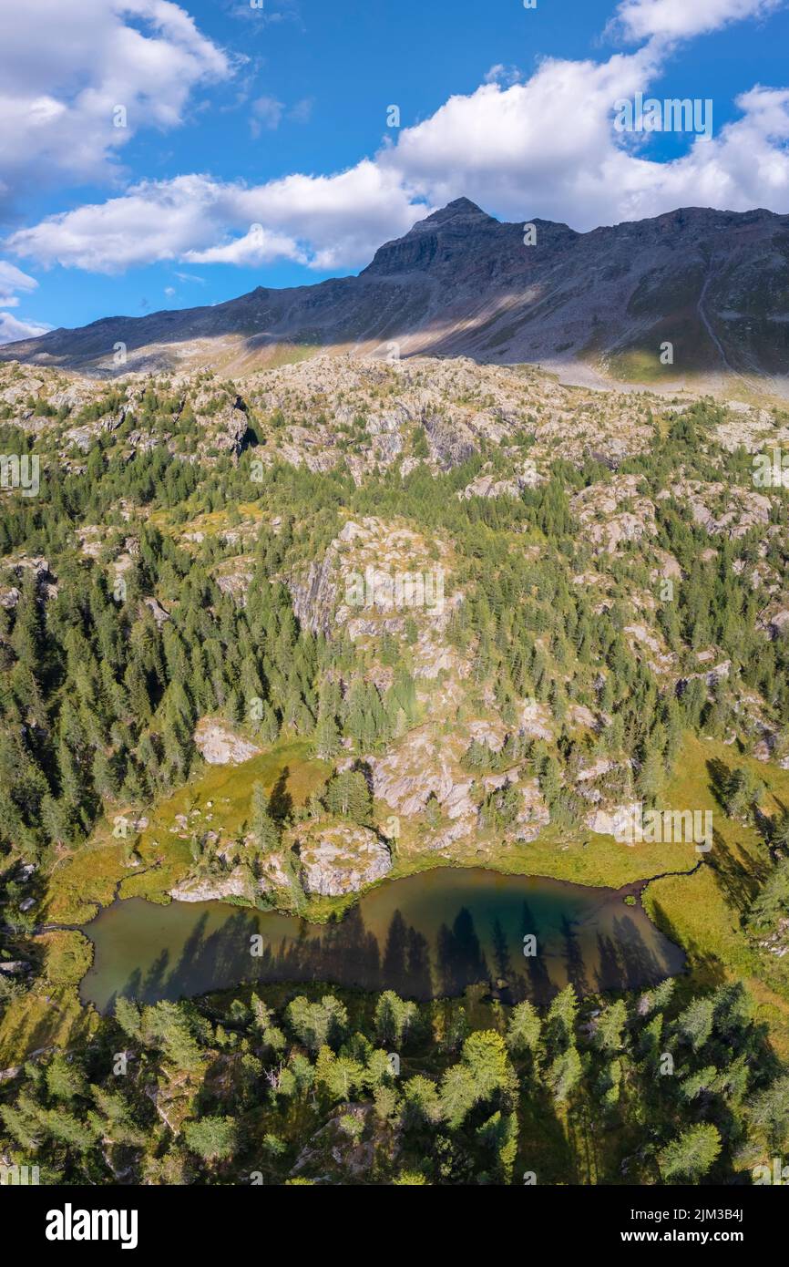 Aerial view of Mufule Lake and Sasso Moro surrounded by larches in the summer. Valmalenco, Valtellina, Sondrio, Lombardy, Italy, Europe. Stock Photo