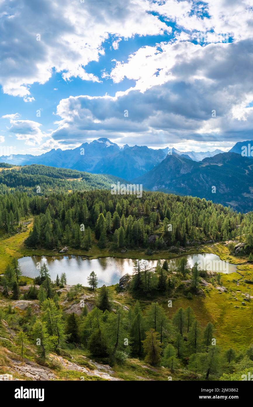 Aerial view of Mufule Lake and Mount Disgrazia surrounded by larches in the summer. Valmalenco, Valtellina, Sondrio, Lombardy, Italy, Europe. Stock Photo