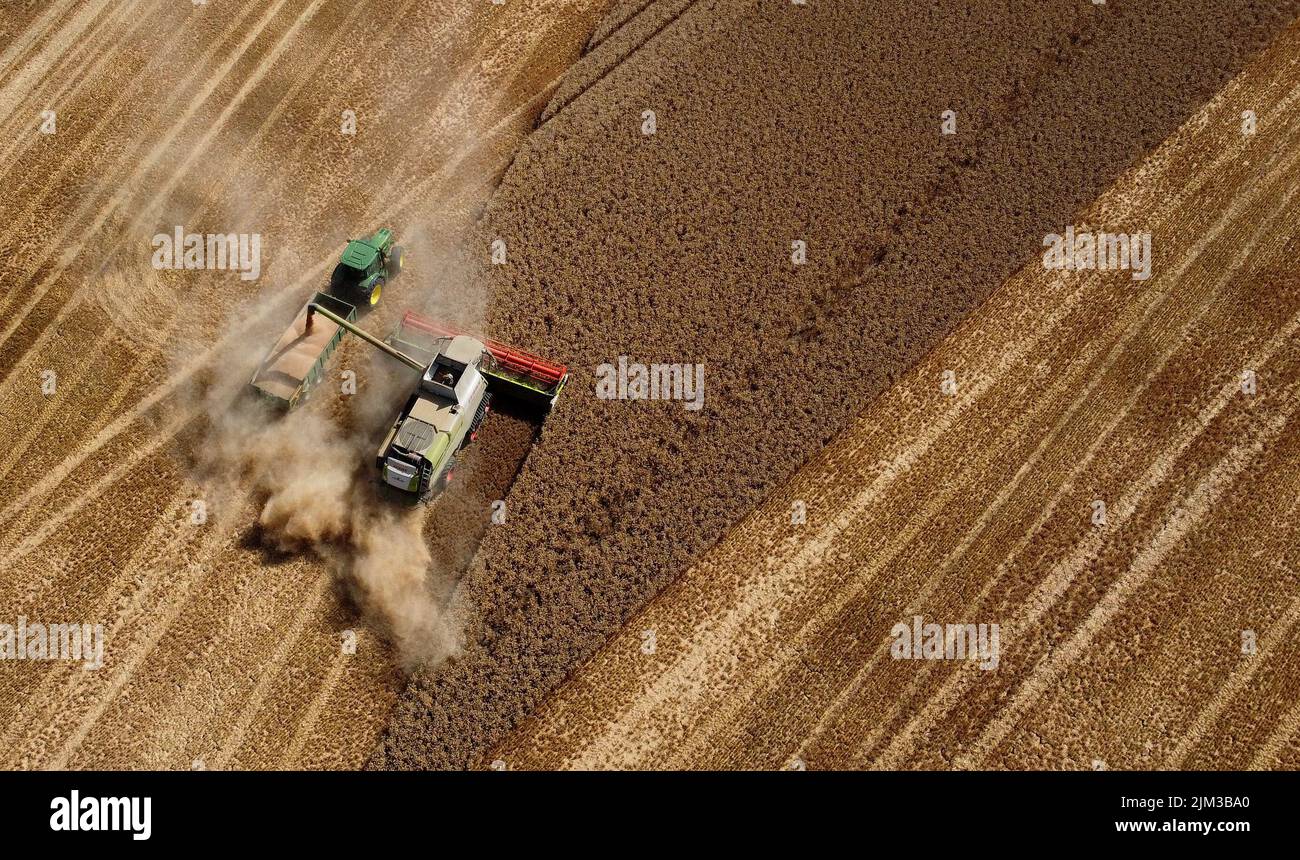 A combine harvester at work during the warm weather on Romney Marsh near Ashford in Kent. Picture date: Thursday August 4, 2022. Stock Photo