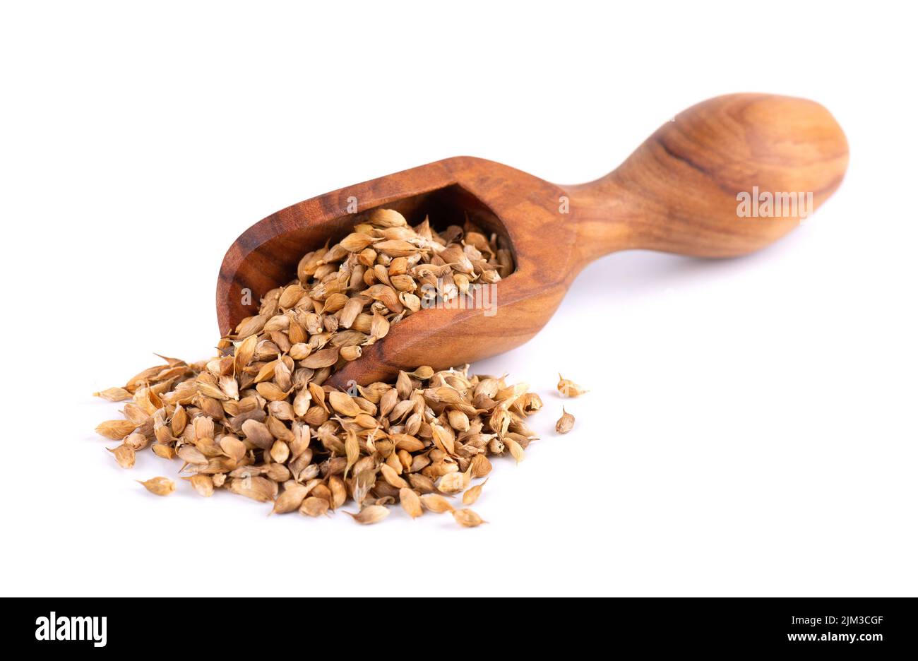Utsho suneli seeds in wooden scoop, isolated on white background ...
