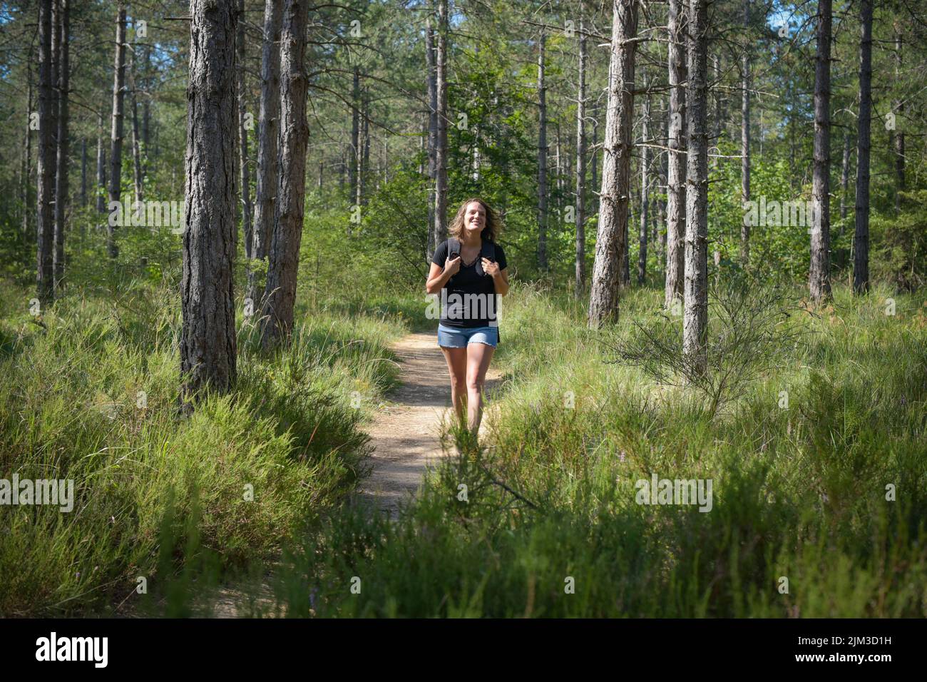 Fontainebleau forest hiker hi-res stock photography and images - Alamy