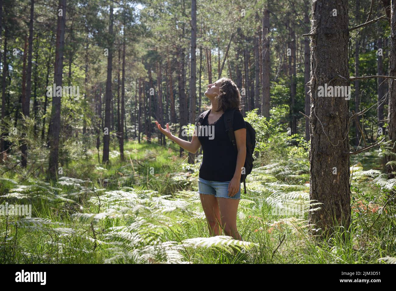 caucasian woman hiking in the french forest of Fontainebleau Stock ...
